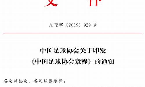 中国足球协会章程2019_中国足球协会章程2005