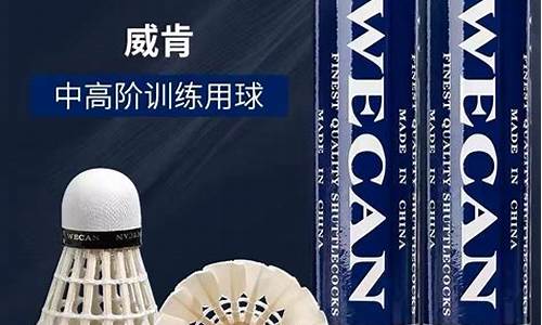 wecan羽毛球销售_卖羽毛球的店